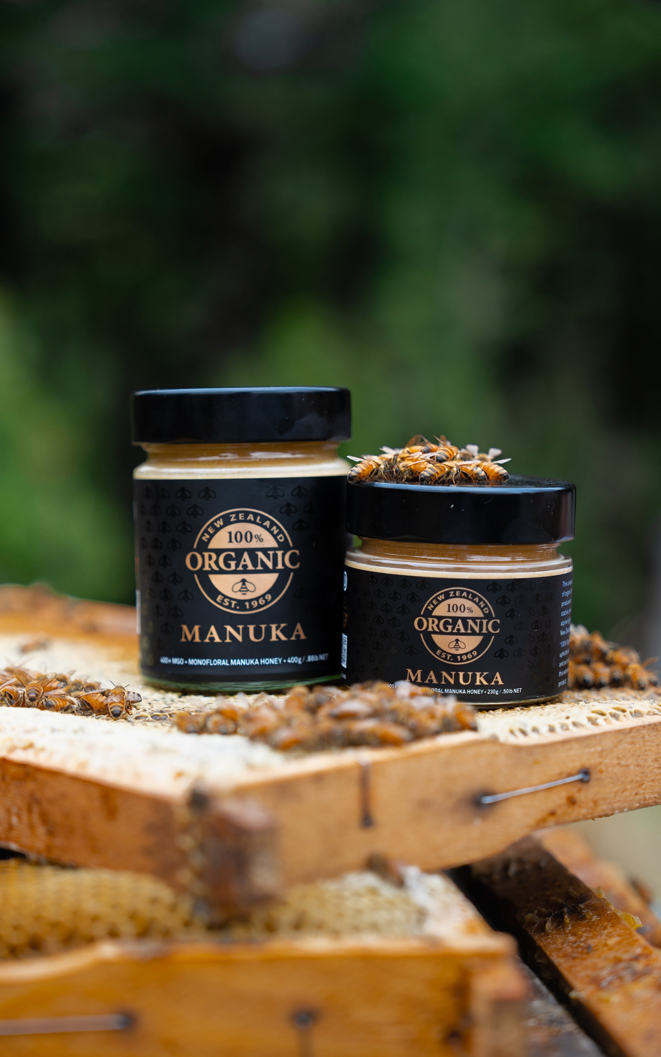 Organic Range – Springbank Honey