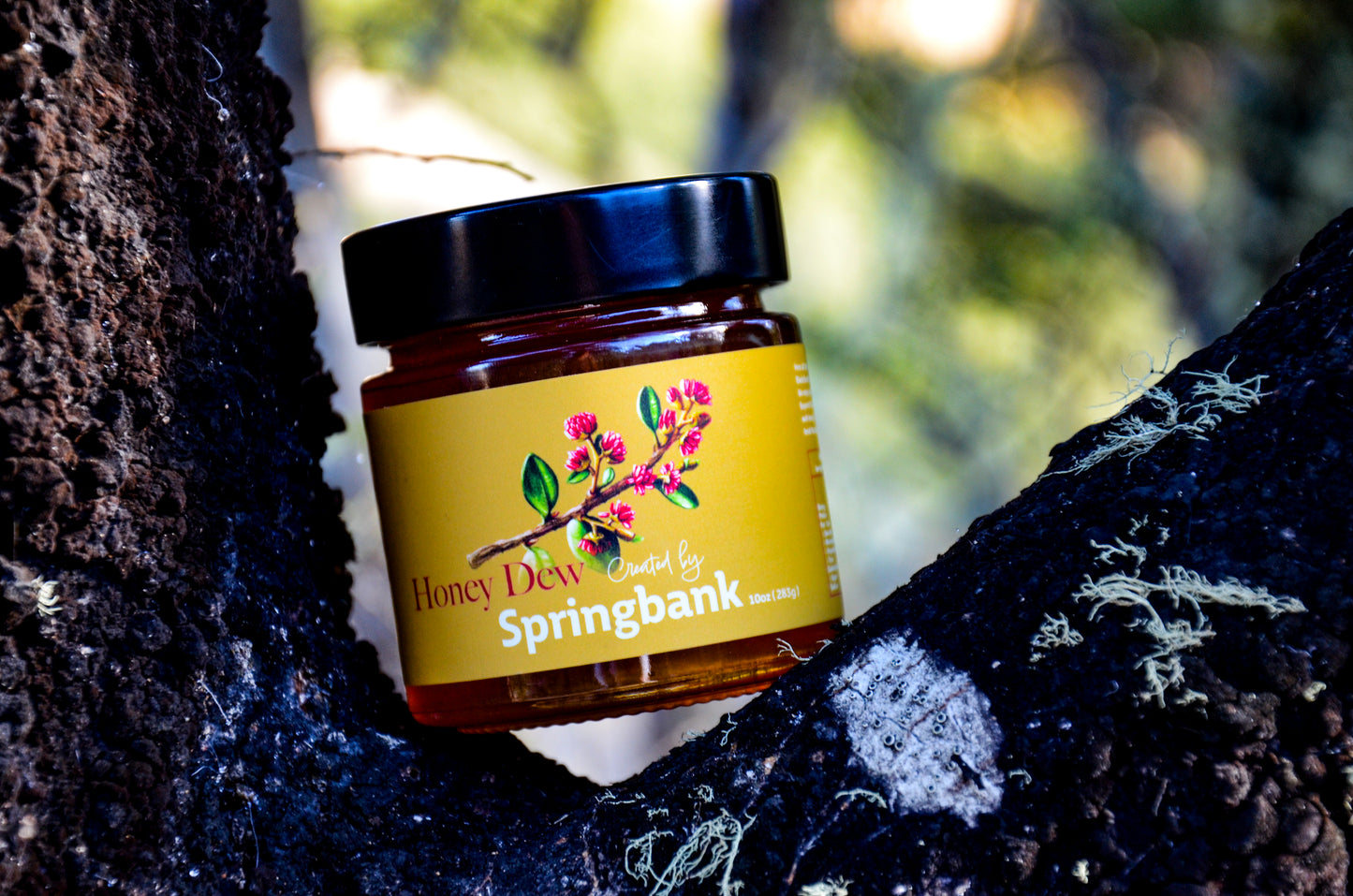 Black Beech Honey Dew 10oz