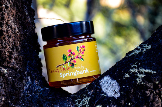 Black Beech Honey Dew 10oz